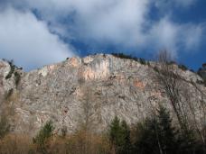 Klik za večjo sliko